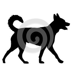 Labrador dog black silhouette on white background