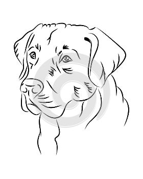 Labrador dog line art, minimalistic tribal. Freehand vector illustration.