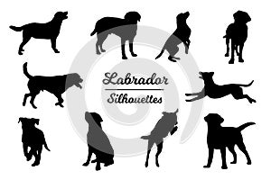 Labrador dog silhouettes.