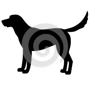 Labrador dog vector eps Hand drawn, Vector, Eps, Logo, Icon, crafteroks, silhouette Illustration for different uses