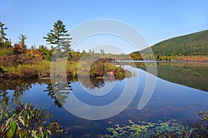 Labrador Pond reflections in Truxton during early Fall Season