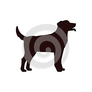 Labrador retriever black silhouette vector illustration, cute young friendly standing pet side view outline dog isolated