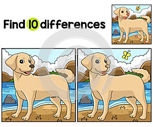 Labrador Retriever Dog Find The Differences