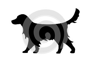 Labrador retriever icon. Dog silhouette standing. Vector flat illustration isolated