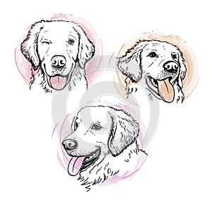 Labrador Retriever. Silhouette. Line art. Template. Close-up. Clip art. Hand Painting.