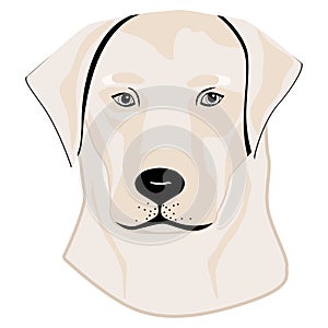 Labrador Retriever. Silhouette. Line art. Template. Close-up. Clip art. Hand Painting. Ink tattoo vector