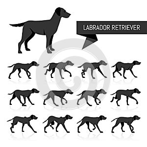 Labrador Retriever vector silhouettes