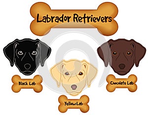 Labrador Retrievers, Black, Chocolate, Yellow Labs, Dog Bone Treats