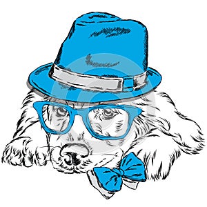 Labrador vector . Pedigree dog. Cute puppy. Labrador wearing a hat , sunglasses and a tie .