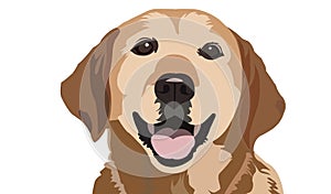 Labrador Vector Tracing Art Design Dog Portrait