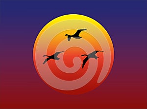 Swans flying against the setting sun.