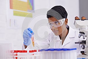 Daily labwork. A beautiful young scientist dropping a substance into test tubes in her lab.