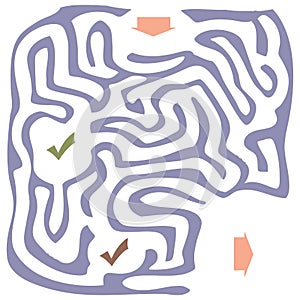 Labyrinth with an entrance and an exit