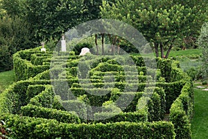 Labyrinth garden