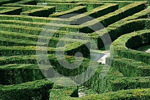Labyrinth garden