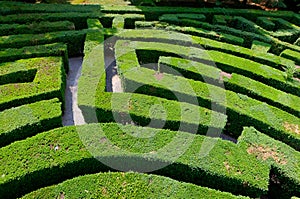 Labyrinth of Love maze park Villa Pisani, Stra, Veneto, Italy