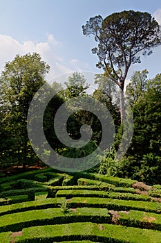 Labyrinth of Love park Villa Pisani, Stra, Veneto, Italy photo