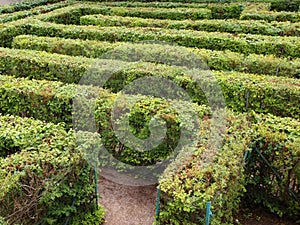 Labyrinth Maze Entrance of Orderly Cut Green Bushes