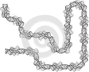 Labyrinth rounded waves form
