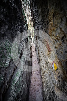 Labyrinth in sandstone cliffs