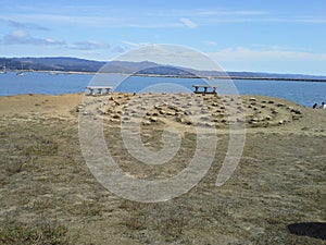 Labyrinth by the sea with benches