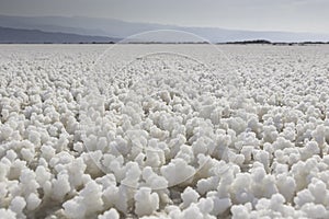 Lac Asal Djibouti