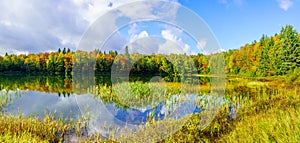 Lac Coutu, with fall foliage colors in Saint-Donat, Laurentian M