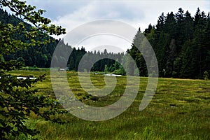 Lac de Lispach - bogland in the Vosges