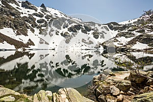 Lac de Melo in Corsica photo