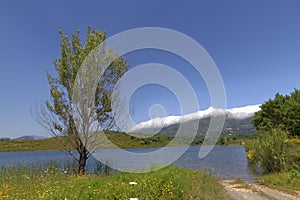 Lac de Padula (Padula lake) near the mountain village Oletta in the Nebbio region, Northern Corsica, France photo