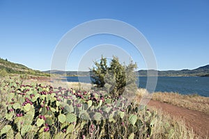 Lac du Salagou in France