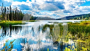Lac Le Jeune lake near Kamloops, British Columbia, Canada photo
