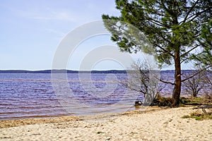 Lacanau lake sand wild beach with tree calm water in gironde france