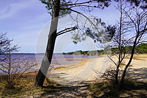 Lacanau sand wild beach with calm water in medoc gironde france