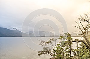 Lacar Lake in San Martin de los Andes