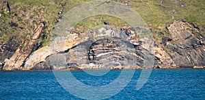 A laccolith rock formation at Lunda Wick, opposite St Olaf`s Kirk on the island of Unst in Shetland, Scotland, UK