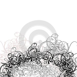 Lace Curves Black And White Background