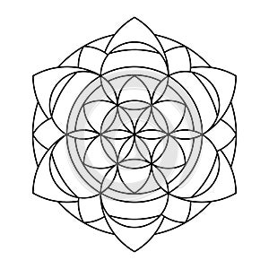 Lace flower of life circle vector mandala coloring book