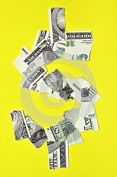 Lacerated dollar
