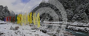 lachung chu river flowing through the snow covered yumthang valley, beautiful mountain valley