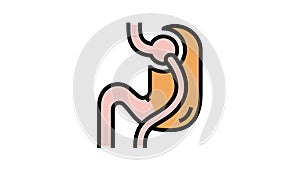 lacing bariatric color icon animation