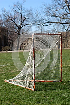 Lacrosse Goal