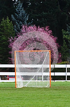 Lacrosse Goal portrait