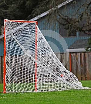 Lacrosse goal scored