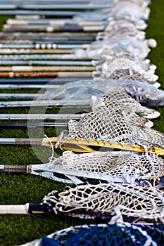 Lacrosse Heads on the Ground photo