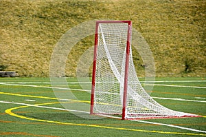 Lacrosse Net