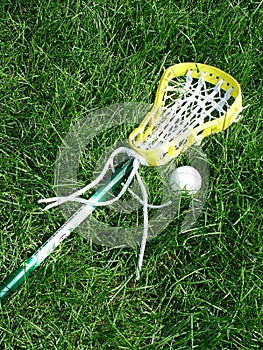 Lacrosse Stick and Ball