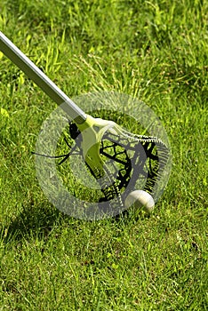 Lacrosse Stick in the Grass