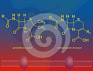 ÃÂ²-lactam antibiotics