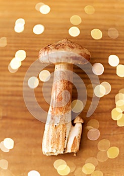 Lactarius rufus mushrooms on wooden background